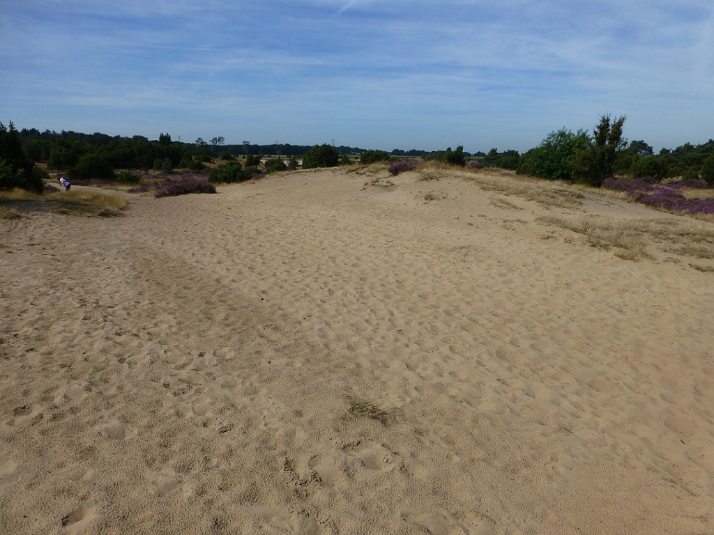 KNNV excursie Lemelerberg [0532].jpg - KNNV excursie Lemelerberg